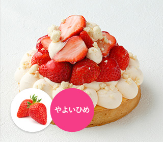 タルトフロマージュ 苺